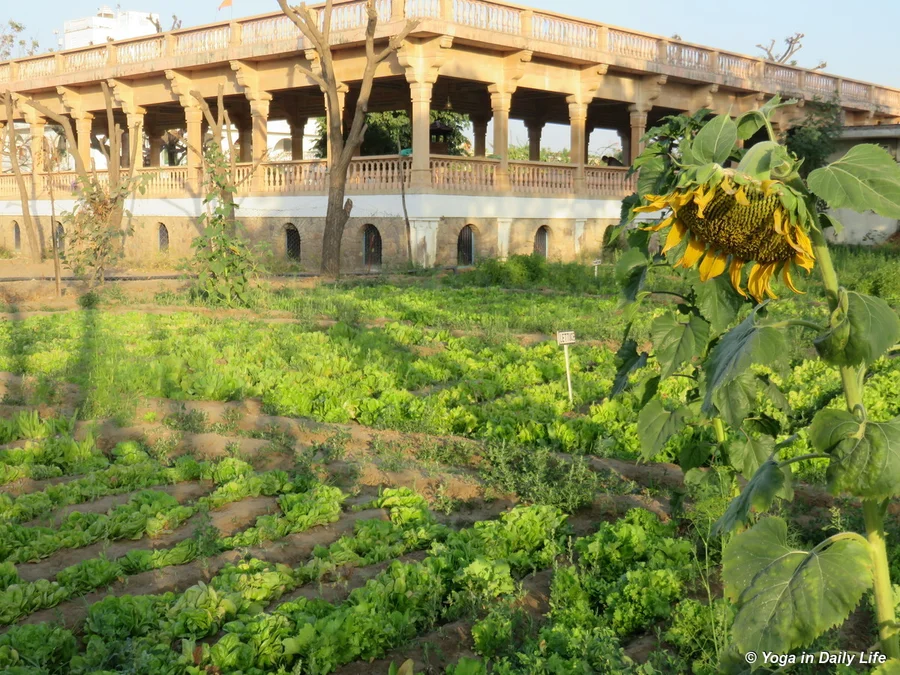 good for another 2 months